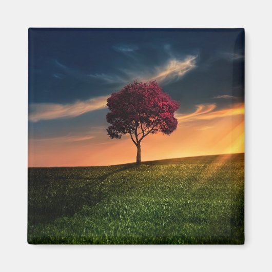 Phantastische Landschaft mit Rotem Baum bei Sonnen Magnet (Vorne)