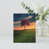 Phantastische Landschaft mit Rotem Baum bei Sonnen Postkarte (Stehend Vorderseite)