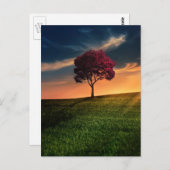 Phantastische Landschaft mit Rotem Baum bei Sonnen Postkarte (Vorne/Hinten)