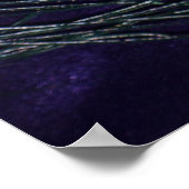 Phantastische Lila Pfauenfeder Poster (Ecke)