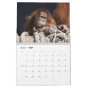 Phantastische Orangutane 2026 Kalender (Mär 2027)
