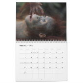 Phantastische Orangutane 2026 Kalender (Feb 2027)