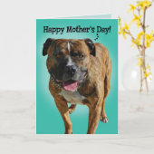 Phantastische Pit Bull-Muttertagskarte Karte (Gelbe Blume)