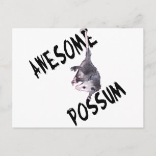Phantastische Possum Opossum Postkarte