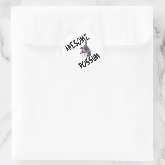 Phantastische Possum Opossum Runder Aufkleber (Tasche)