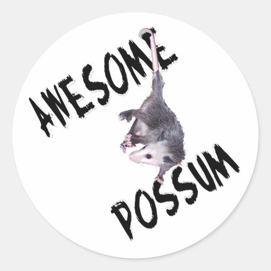 Phantastische Possum Opossum Runder Aufkleber (Vorderseite)