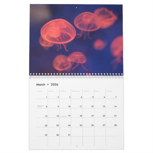 Phantastische Quallen 2026 Kalender (Mär 2026)