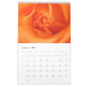 Phantastische Rose 2024 Kalender (Jan 2027)