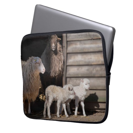 Phantastische Schafe mit Lämmern Tierfotos Laptopschutzhülle (Vorderseite Links)