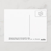 Phantastische Schweizer Alpen Postkarte (Rückseite)