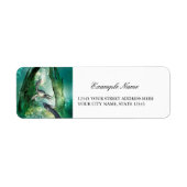 Phantastische Seadragon (Vorne)