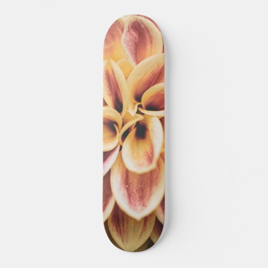 Phantastische Sommer Dahlia Blume (Blumenkunst) Skateboard (Vorderseite)