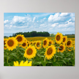 Phantastische Sonnenblumen Poster