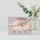 Phantastische Spinnenkange Postkarte (Stehend Vorderseite)