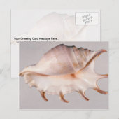 Phantastische Spinnenkange Postkarte (Vorne/Hinten)