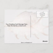 Phantastische Spinnenkange Postkarte (Rückseite)