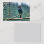 Phantastische Stellar Jay Business Card Visitenkarte (Vorne/Hinten)