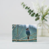 Phantastische Stellar Jay Business Card Visitenkarte (Stehend Vorderseite)