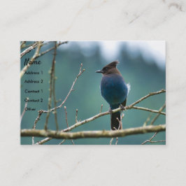 Phantastische Stellar Jay Business Card Visitenkarte