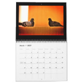 Phantastische Tauben Kalender (Mär 2027)