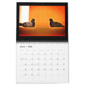 Phantastische Tauben Kalender (Mär 2026)