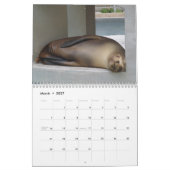 phantastische Tiere - 12 Monate Kalender 2013 (Mär 2027)
