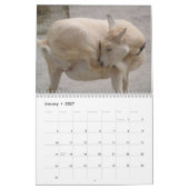phantastische Tiere - 12 Monate Kalender 2013 (Jan 2027)