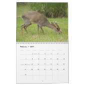phantastische Tiere - 12 Monate Kalender 2013 (Feb 2027)