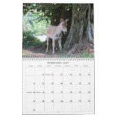 Phantastische Tiere 2013 Kalender (Feb 2027)