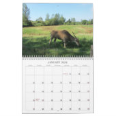 Phantastische Tiere 2013 Kalender (Jan 2026)