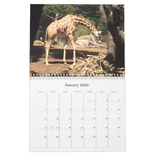 Phantastische Tiere Kalender (Jan 2026)