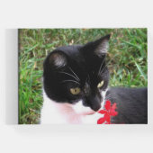 Phantastische Tuxedo Katze im Garten Benutzerdefin Gästebuch (Rückseite)