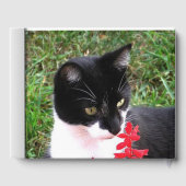 Phantastische Tuxedo Katze im Garten Benutzerdefin Gästebuch (Rückseite)