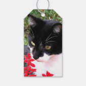 Phantastische Tuxedo Katze im Garten Geschenkanhänger (Vorderseite)