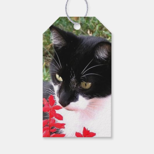 Phantastische Tuxedo Katze im Garten Geschenkanhänger (Vorderseite)