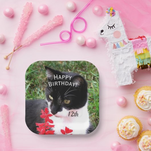 Phantastische Tuxedo Katze im Garten Persönlich Pappteller (Party)