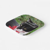 Phantastische Tuxedo Katze im Garten Persönlich Pappteller (Gewinkelt)