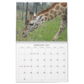 Phantastische Vögel und Tiere 2012 Kalender (Feb 2027)