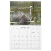 Phantastische Vögel und Tiere 2012 Kalender (Jan 2027)