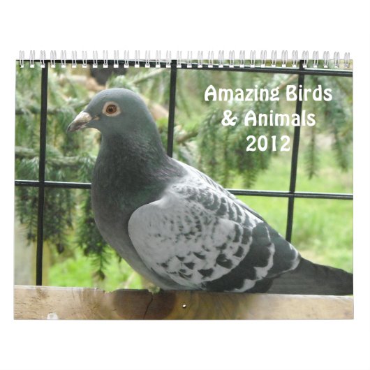 Phantastische Vögel und Tiere 2012 Kalender (Titelbild)