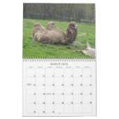 Phantastische Vögel und Tiere 2012 Kalender (Mär 2026)