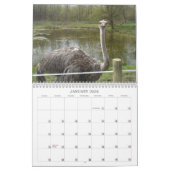 Phantastische Vögel und Tiere 2012 Kalender (Jan 2026)