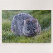 Phantastische Wombat im Grass Australien, 1014 Stü Puzzle (Horizontal)