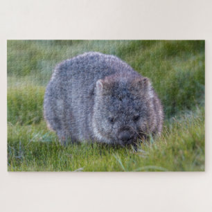 Phantastische Wombat im Grass Australien, 1014 Stü Puzzle