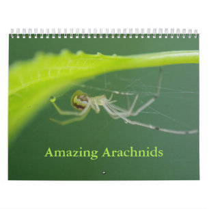Phantastischer Arachnids-Spider-Kalender Kalender