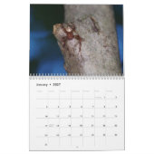 Phantastischer Arachnids-Spider-Kalender Kalender (Jan 2027)
