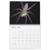 Phantastischer Arachnids-Spider-Kalender Kalender (Feb 2027)
