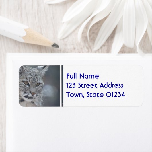 Phantastischer Bobcat (Insitu)