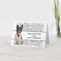 Phantastischer Boston Terrier Dog Vater Glückliche