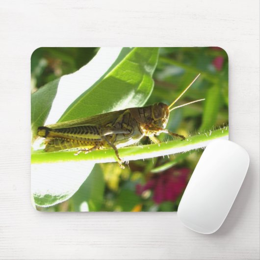 Phantastischer Grasshopper Mousepad (Mit Mouse)